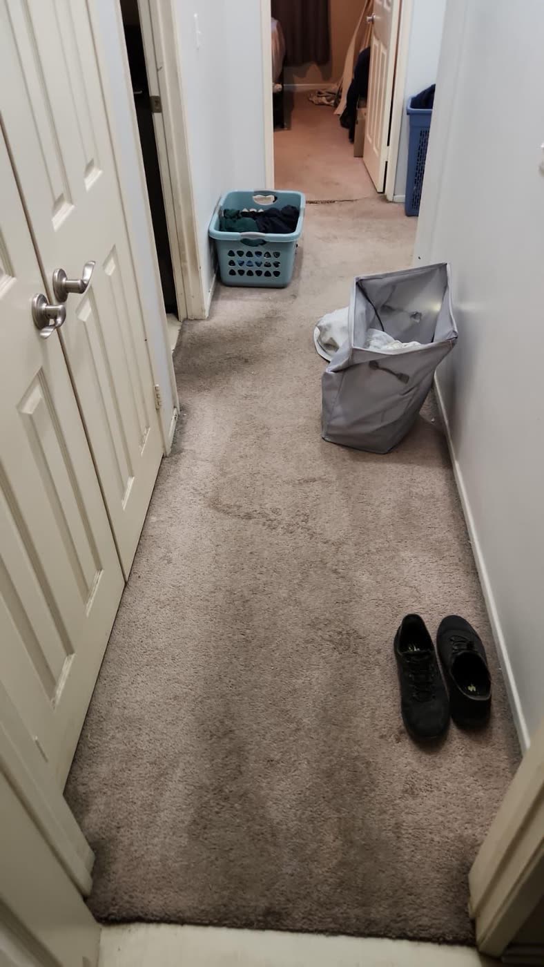 Larry's flooring replacement, Jacksonville before the remodel